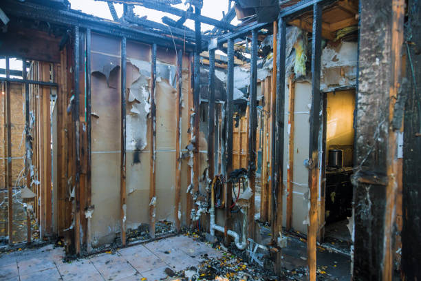 Professional Fire Damage Repair technician working in Mount Dora, FL